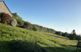 Taille de haie de environ 200 m