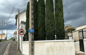 Élagage de cinq cyprès de Provence à Bourges Externes