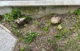 Enlèvement de souche avec mini pelle à Bourges