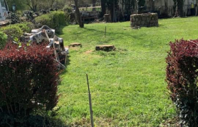 Abattage de 2 bouleaux avec camion nacelle à Moulins-sur-Allier