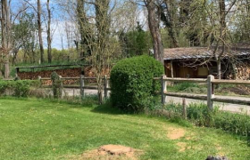 Abattage de 2 bouleaux avec camion nacelle à Moulins-sur-Allier