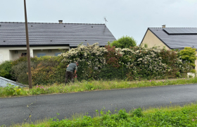 Taille de Haie et rabattage de Haie à Bourges