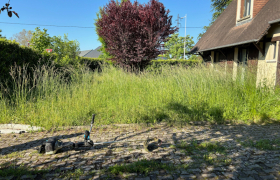 Débroussaillage et traitement de dallage à Saint Doulchard