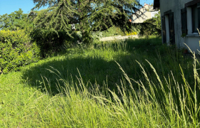 Débroussaillage et traitement de dallage à Saint Doulchard