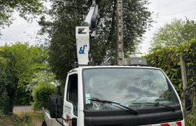 Suppression de fil électrique dans un arbre à Ivoy-le-Pré 