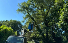 Abattage d’un chêne avec camion nacelle à AUCH 32000