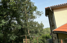 Abattage d’un chêne dangereux, penché sur maison avec camion nacelle à Cornebarrieu 31700