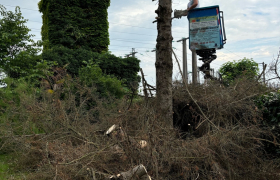 Abattage d’un sapin avec camion, nacelle à Bergerac, 24100