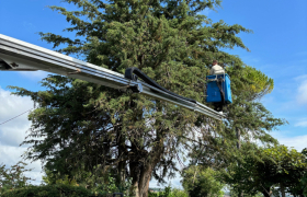 Élagage d’un cèdre avec camion, nacelle à Auch 32000