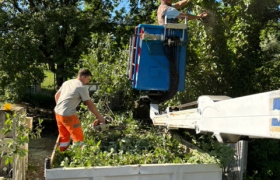 Abattage d’un chêne avec camion nacelle à AUCH 32000