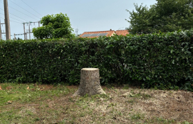 Abattage d’un sapin avec camion, nacelle à Bergerac, 24100