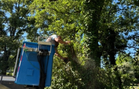 Abattage d’un chêne avec camion nacelle à AUCH 32000