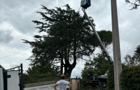 Élagage d’un cèdre avec camion, nacelle à Auch 32000