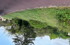 Tonte de pelouse aux Aix-d'angillon