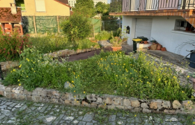 Débroussaillage ,taille de Haie et passage de désherbant à Bourges