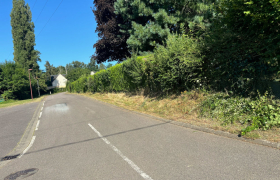 Taille d’un seul côté, d’une Haie de 40m et élagage de trois noisetiers à Saint-Martin-d’auxigny 