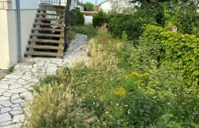 Débroussaillage à Bourges