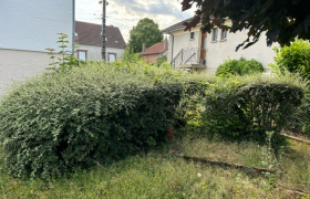 Débroussaillage à Bourges