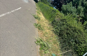 Taille d’un seul côté, d’une Haie de 40m et élagage de trois noisetiers à Saint-Martin-d’auxigny 
