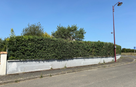 Taille et rabattage d’une Haie d’environ 30 m avec camion, nacelle à Saint-Doulchard