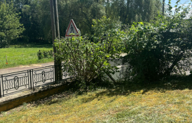 Taille d’un seul côté, d’une Haie de 40m et élagage de trois noisetiers à Saint-Martin-d’auxigny 