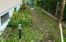 Débroussaillage ,taille de Haie et passage de désherbant à Bourges