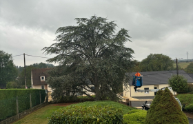 Élagueur à Saint-Doulchard 