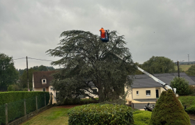 Élagueur à Saint-Doulchard 