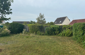 Taille et rabattage de Haie à Saint-Germain-du-Puy