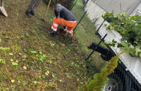  Débroussaillage à Saint-Doulchard