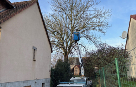 Élagage d’un Frêne avec camion nacelle