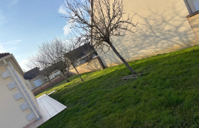 Abattage de 7 arbres fruitiers et démontage de 6 palissades