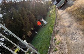 Tonte de pelouse et plantation de lilas à la charité sur Loire