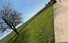 Tonte de pelouse et plantation de lilas à la charité sur Loire