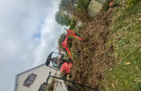 Abattage d’une haie de bambou à Mehun-sur-Yèvre